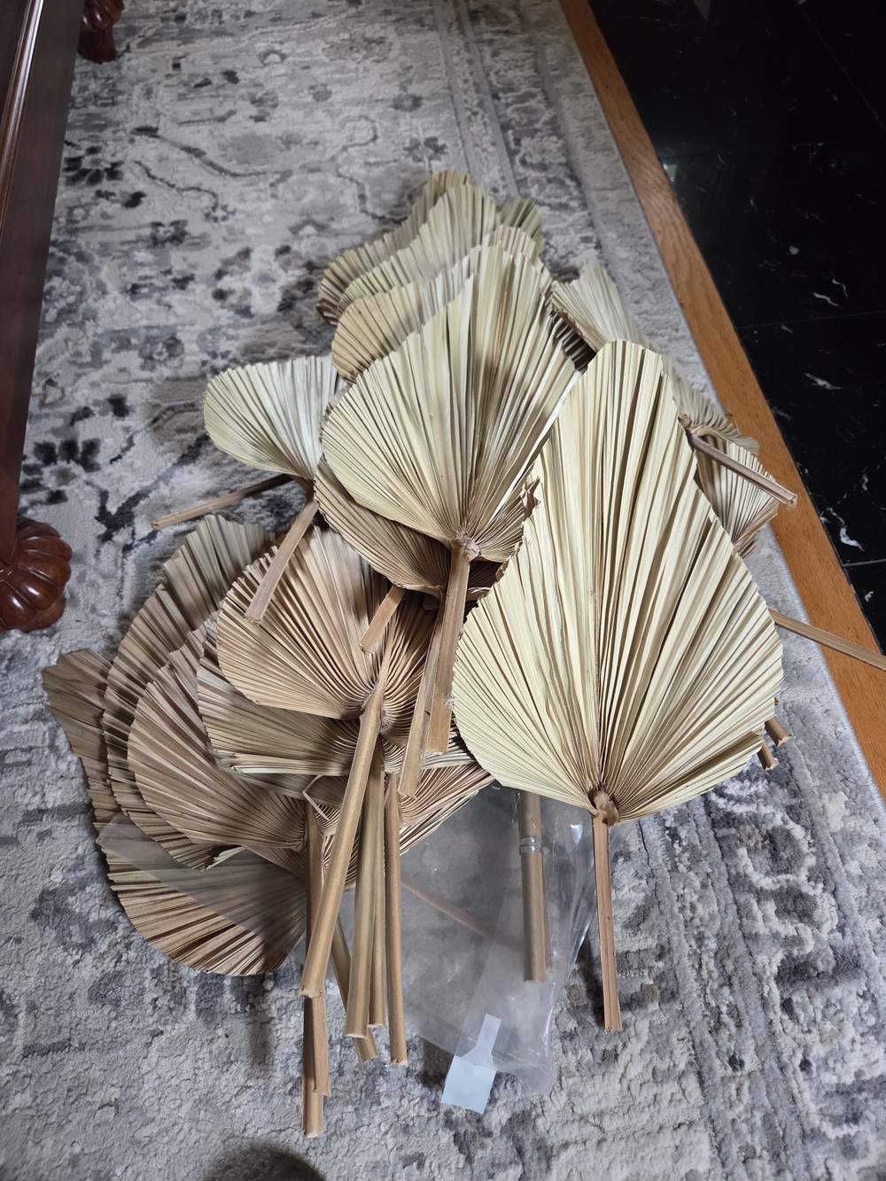 Natural Dried Palm Fan Stems - 26 Count Neutral Tan